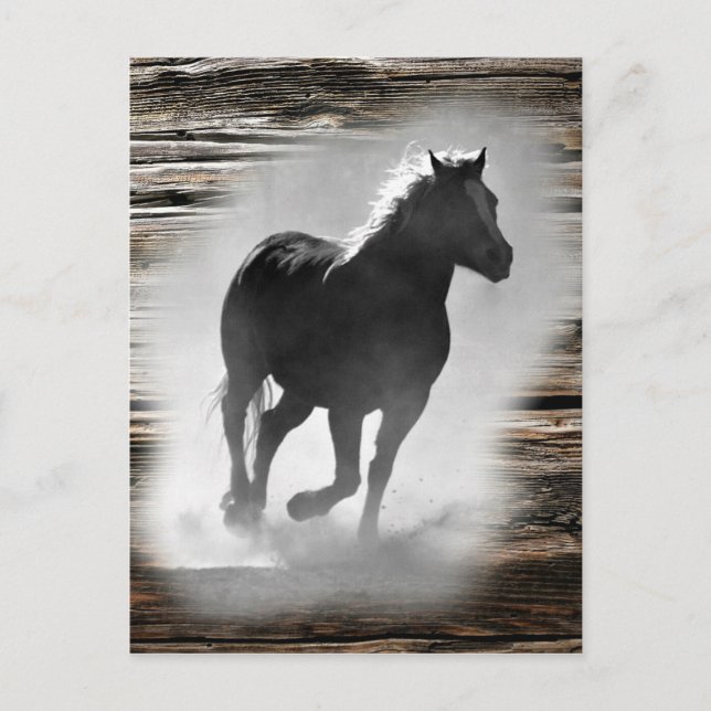 Wild Horse Galloping Postcard (Front)