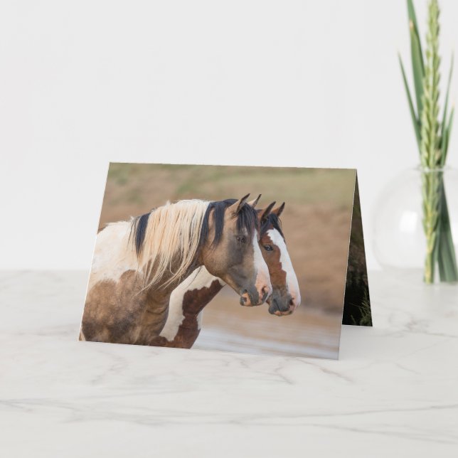 Wild Horse Greeting Card - Painted Friends (Front)