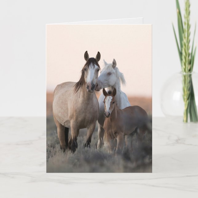 Wild Horse Greeting Card - Wild Family Before Dawn (Front)
