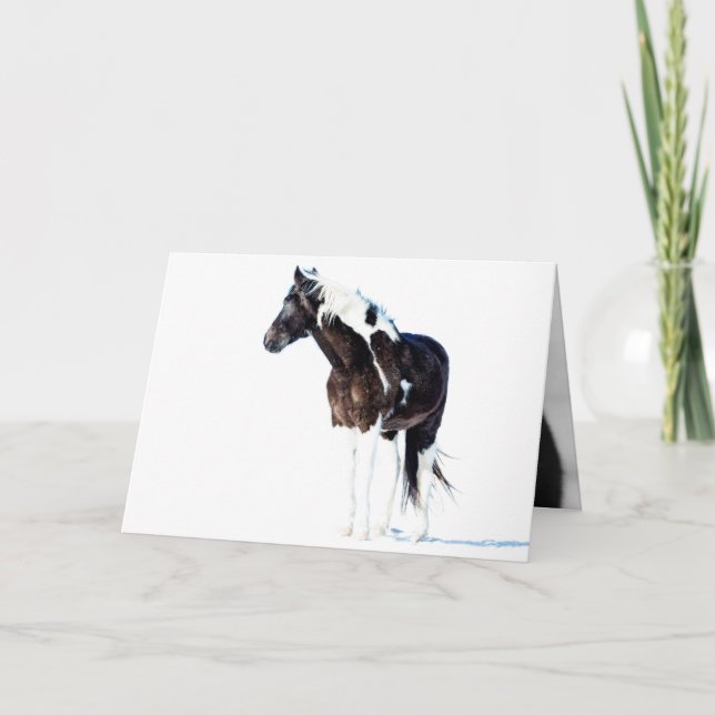 Wild Horse Greeting Card - Winter Paint (Front)