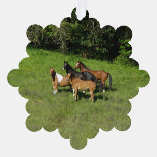 Wild Horse Herd Ornament Card