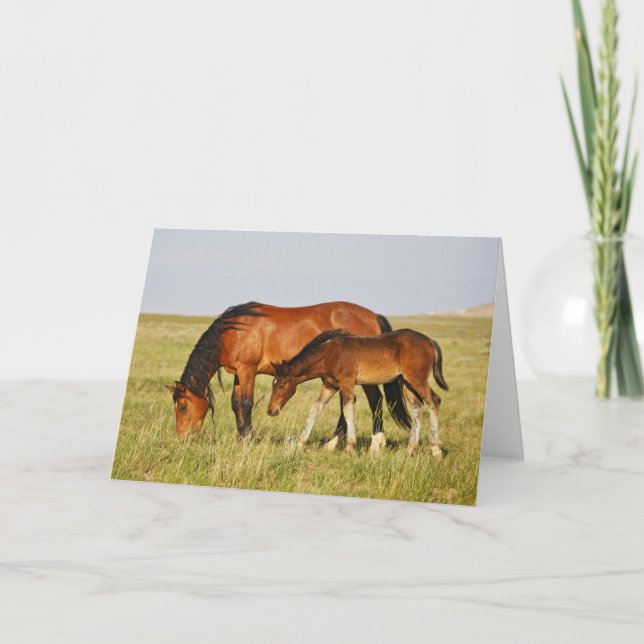 Wild Horse Mother and Colt Grazing Card (Front)