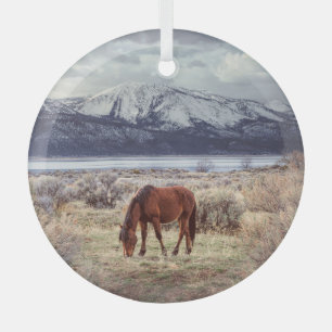 Wild horse: Nevada winter landscape. Glass Ornament
