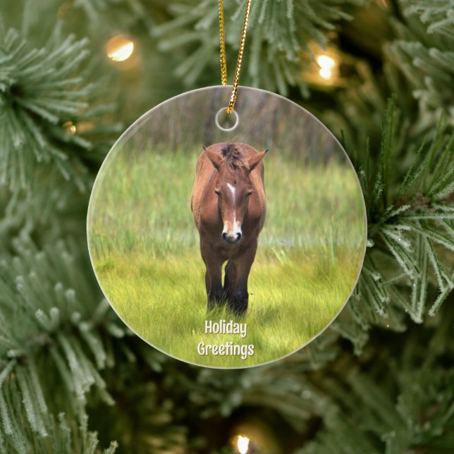 Wild Horse of Assateague Ceramic Ornament (Tree)