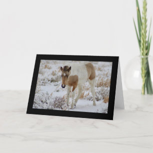 WILD HORSE OF UTAH FOAL ONHERE GREETING CARD