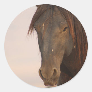 WILD HORSE OF UTAH IN WESTERN DESERT CLASSIC ROUND STICKER