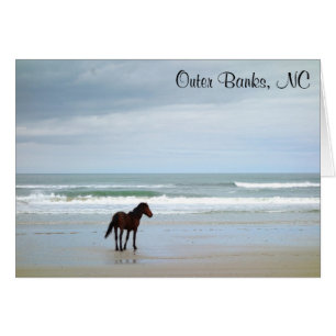 Wild Horse Outer Banks NC Card