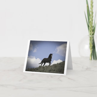 Wild Horse Photography Note Card