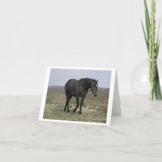 Wild Horse Photography Note Card Design 5