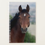 Wild Horse Planner<br><div class="desc">Start your day off right by planning your schedule in this one-of-a-kind planner featuring a portrait of a Pryor Mountain Wild Mustang named Ula.</div>