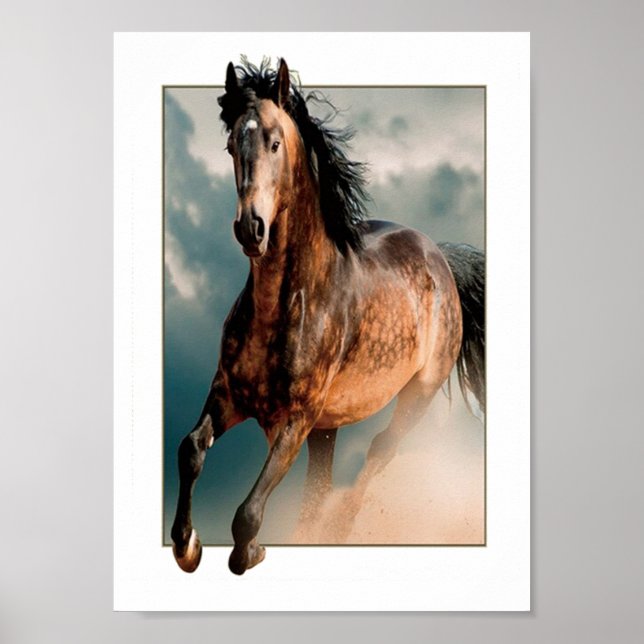 Wild horse poster (Front)