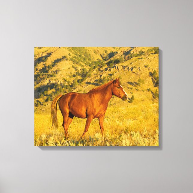 Wild Horse Sanctuary. Canvas Print (Front)