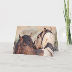 Wild Horse Secrets Wild Horse Carte de voeux