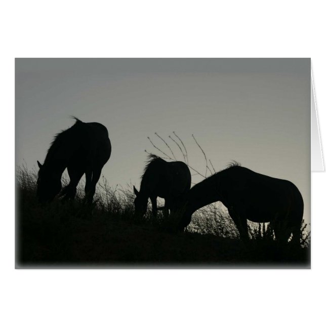Wild Horse Silhouettes (Front Horizontal)