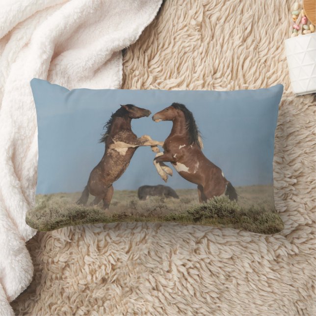 Wild Horse Stallions Fighting Lumbar Pillow (Blanket)