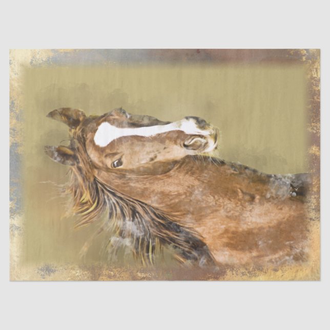 Wild Horse Tissue Paper (Front)