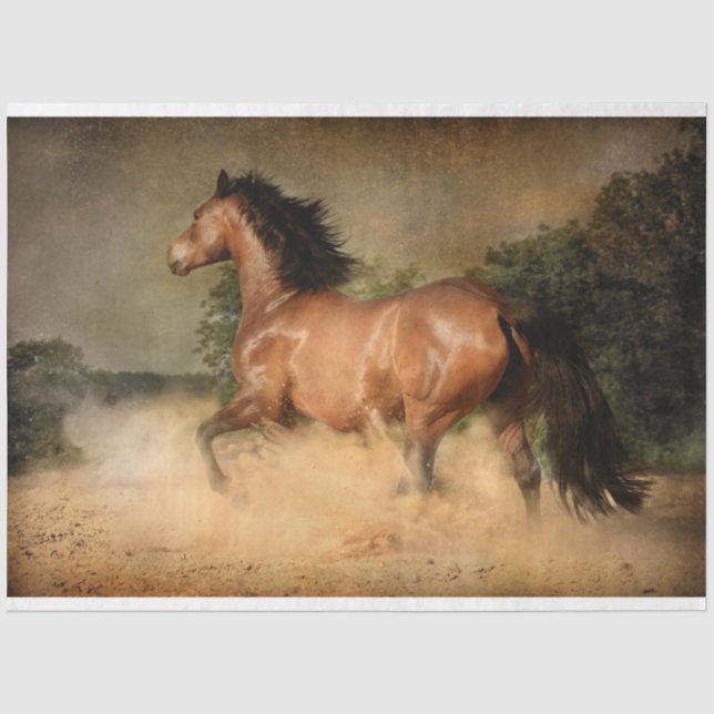 wild horse tissue paper (Front)