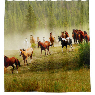 Wild Horses