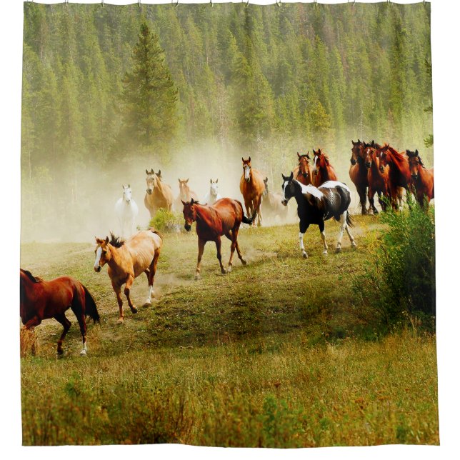 Wild Horses (Front)