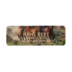 Wild Horses Address