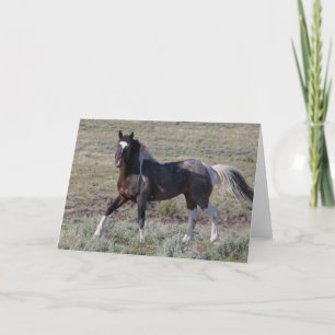 Wild Horses After a Dust Bath Card