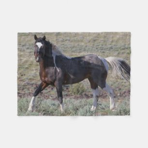 Wild Horses After a Dust Bath Fleece Blanket