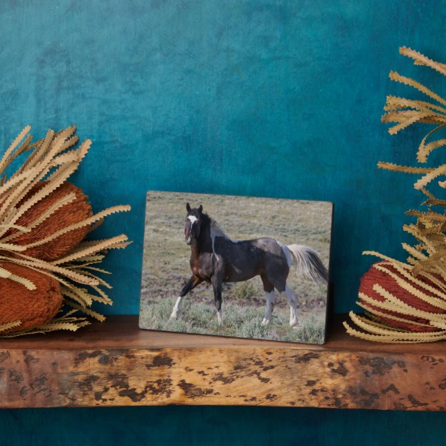 Wild Horses After a Dust Bath Plaque (Side)