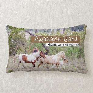Wild Horses - Assateague Island Lumbar Pillow