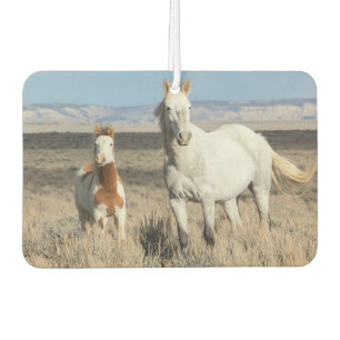 Wild Horses at Home in the Sandwash Basin Air Freshener