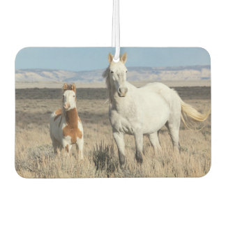 Wild Horses at Home in the Sandwash Basin Air Freshener