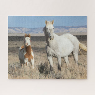 Wild Horses at Home in the Sandwash Basin Jigsaw Puzzle
