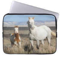 Wild Horses at Home in the Sandwash Basin