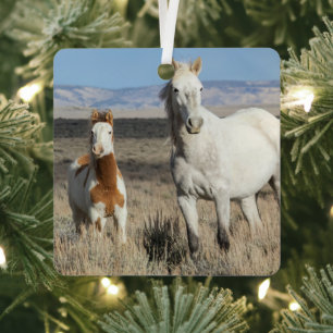 Wild Horses at Home in the Sandwash Basin Metal Ornament
