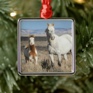 Wild Horses at Home in the Sandwash Basin Metal Ornament