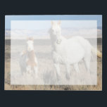 Wild Horses at Home in the Sandwash Basin Notepad<br><div class="desc">Wild Horses,  mare and foal at home in the Sandwash Basin</div>