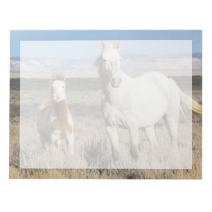 Wild Horses at Home in the Sandwash Basin Notepad