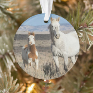 Wild Horses at Home in the Sandwash Basin Ornament