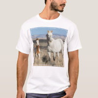 Wild Horses at Home in the Sandwash Basin