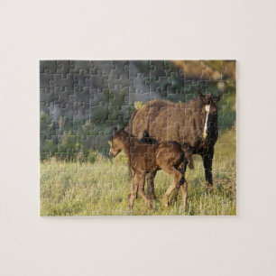 Wild Horses at Theodore Roosevelt National Park Jigsaw Puzzle