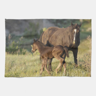 Wild Horses at Theodore Roosevelt National Park Kitchen Towel