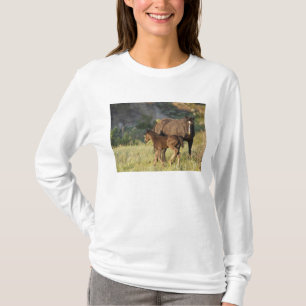 Wild Horses at Theodore Roosevelt National Park T-Shirt