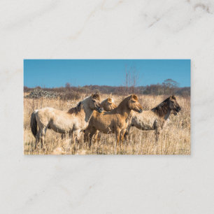 Wild horses at Wicken Fen, England, UK Business Card