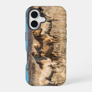 Wild horses at Wicken Fen, England, UK iPhone 16 Case