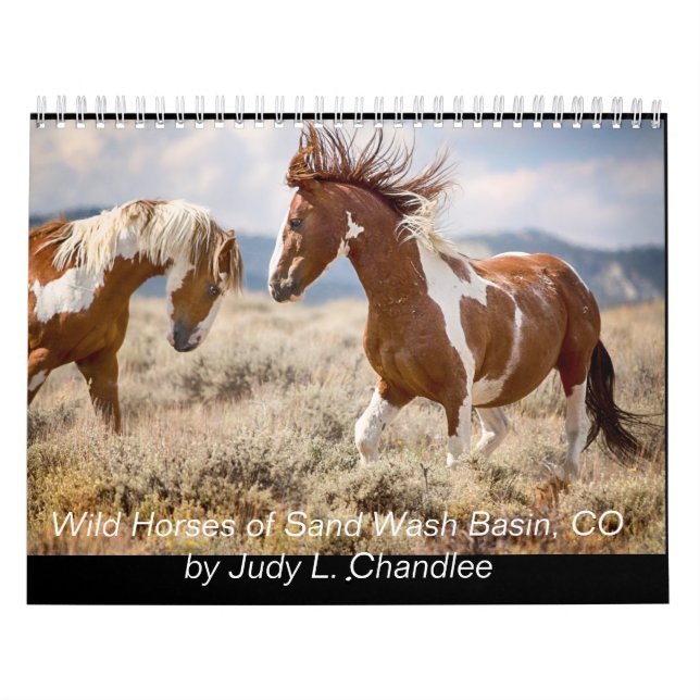Wild Horses Calendar (Cover)