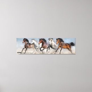 Wild Horses Canvas Print