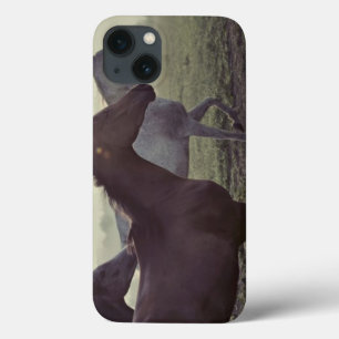 Wild horses iPhone 13 case