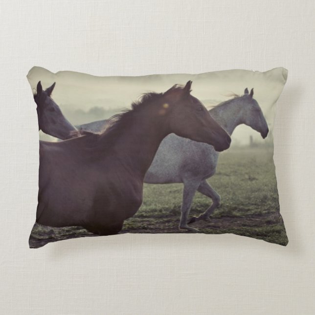 Wild horses decorative pillow (Front)