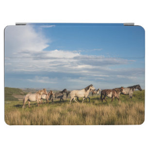 Wild Horses in Theodore Roosevelt National Park iPad Air Cover