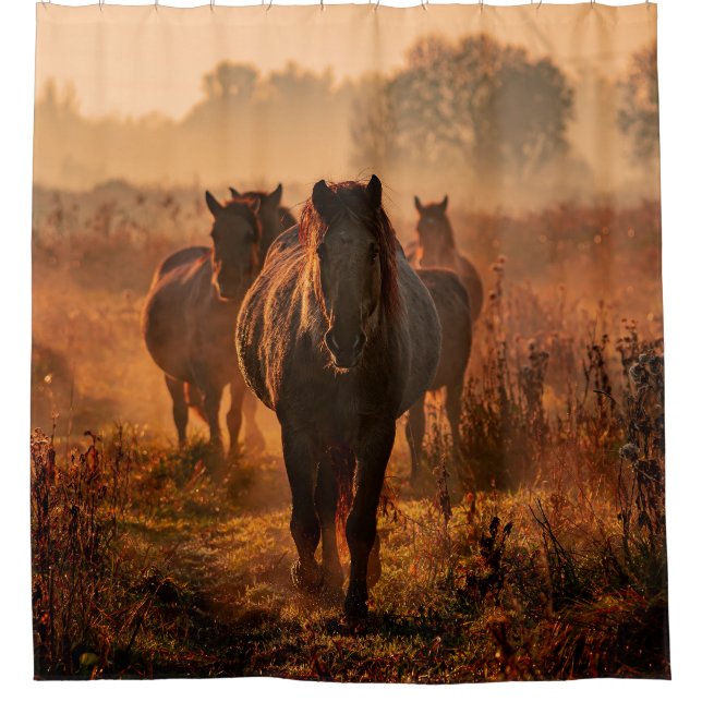 Wild Horses: Intense Gaze Encounter (Front)
