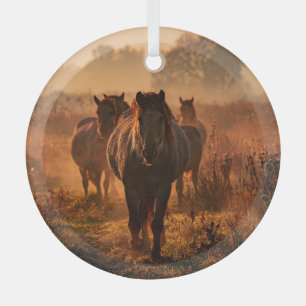 Wild Horses: Intense Gaze Encounter Glass Ornament